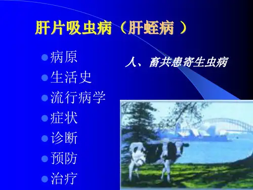 牛羊肝片吸虫病PPT课件