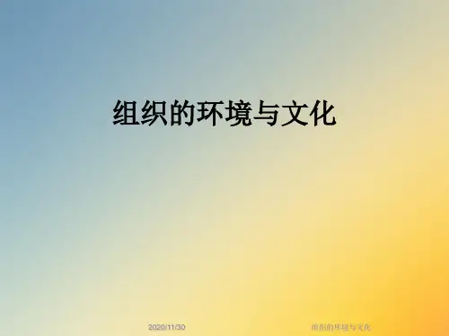 组织的环境与文化
