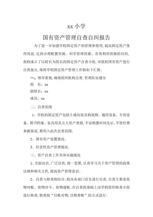 学校固定资产自查报告