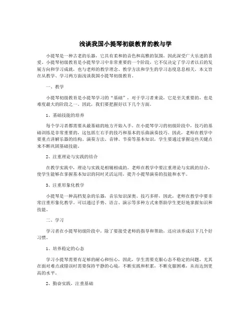 浅谈我国小提琴初级教育的教与学