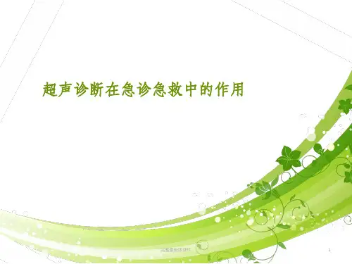 急诊超声处理ppt课件
