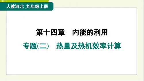2024年人教版九年级上册物理期末复习专题(二)热量及热机效率计算