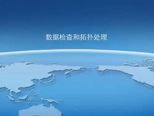 数据检查和拓扑处理概述(PPT 48张)