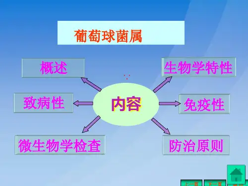 最新常见细菌课件PPT课件