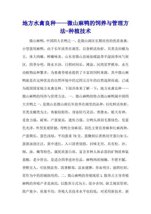 地方水禽良种——微山麻鸭的饲养与管理方法 - 种植技术