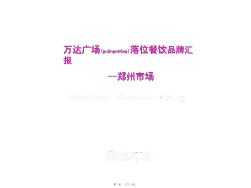 万达项目落位餐饮调研郑州(PPT)