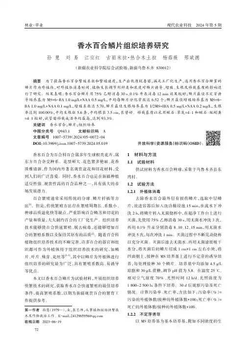 香水百合鳞片组织培养研究