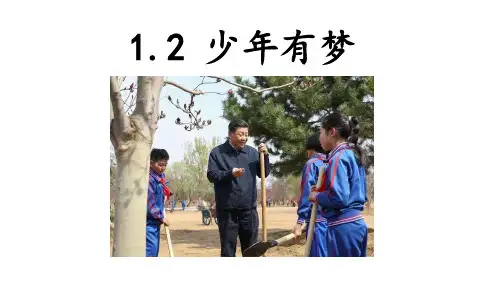 人教版道德与法治七年级上册 1.2 少年有梦 课件(共28张PPT)