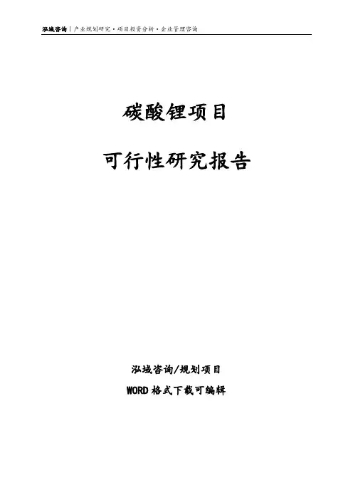 碳酸锂项目可行性研究报告