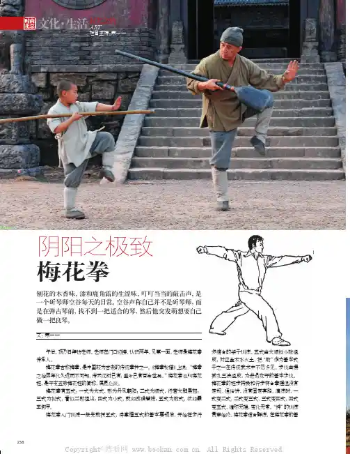 阴阳之极致 梅花拳