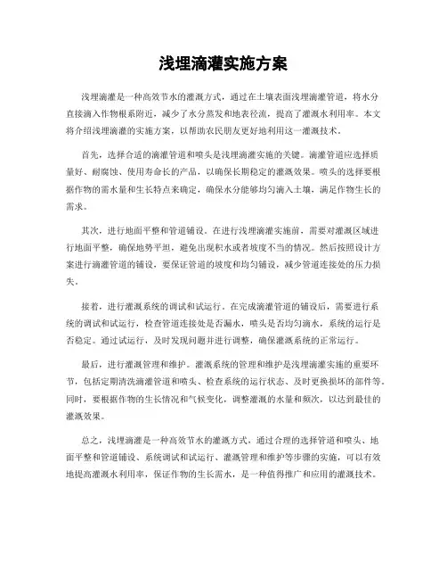 浅埋滴灌实施方案