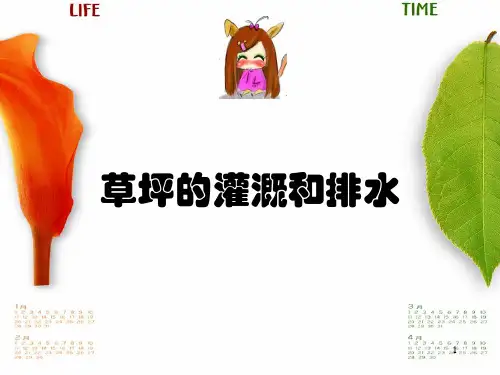 草坪灌溉及管理ppt课件