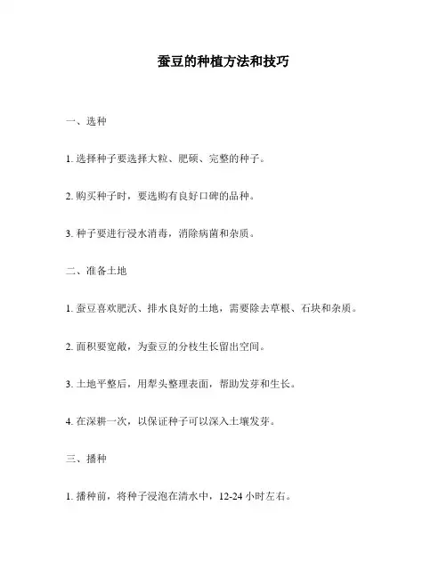 蚕豆的种植方法和技巧