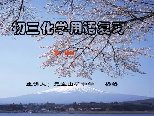 化学用语专题复习ppt课件