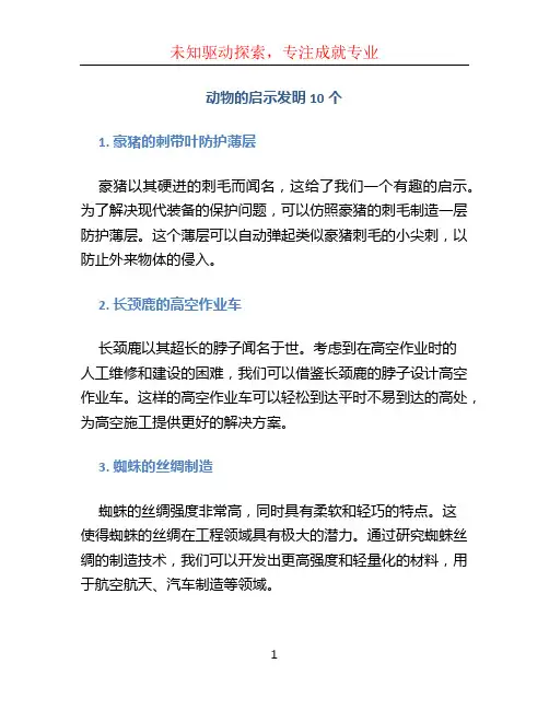 动物的启示发明10个