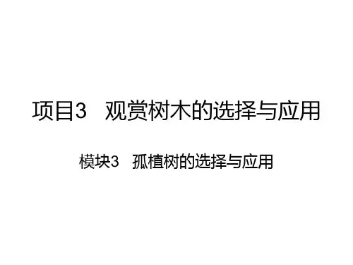 《园林植物识别与应用》教案2