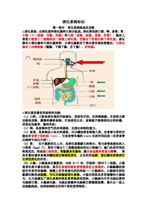 执业药师消化系统知识