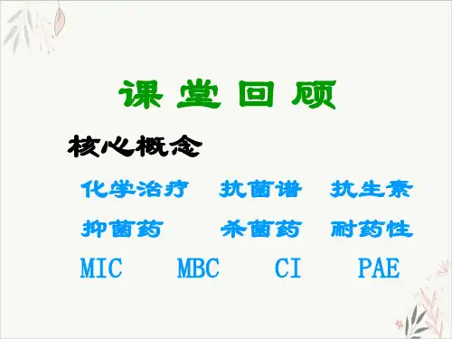 青霉素和头孢菌素PPT课件