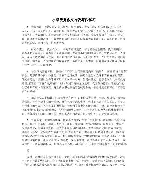 小学优秀作文片段写作练习