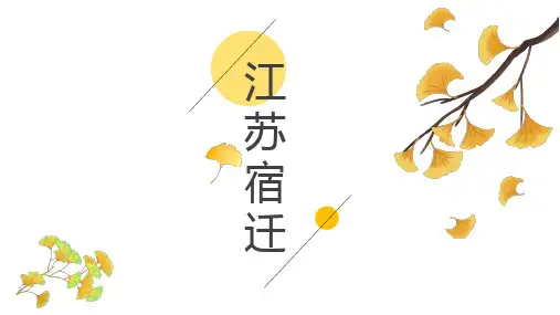 江苏宿迁城市文化PPT