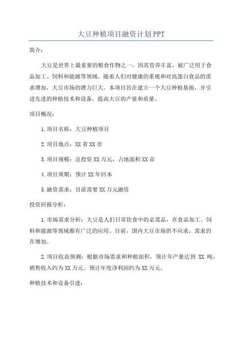 大豆种植项目融资计划PPT