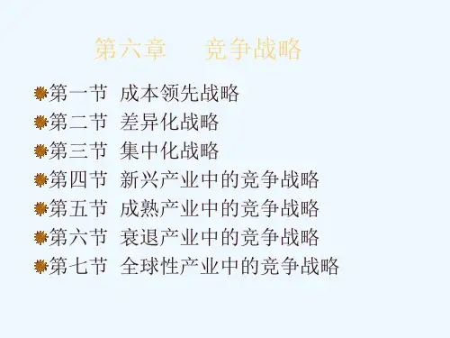 竞争战略(PPT38页)
