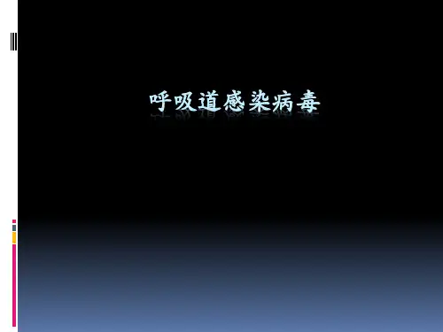 呼吸道感染病毒 PPT