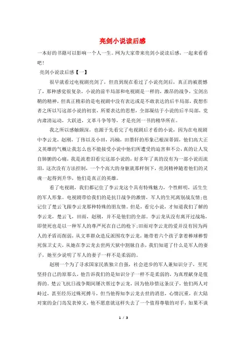 最新亮剑小说读后感