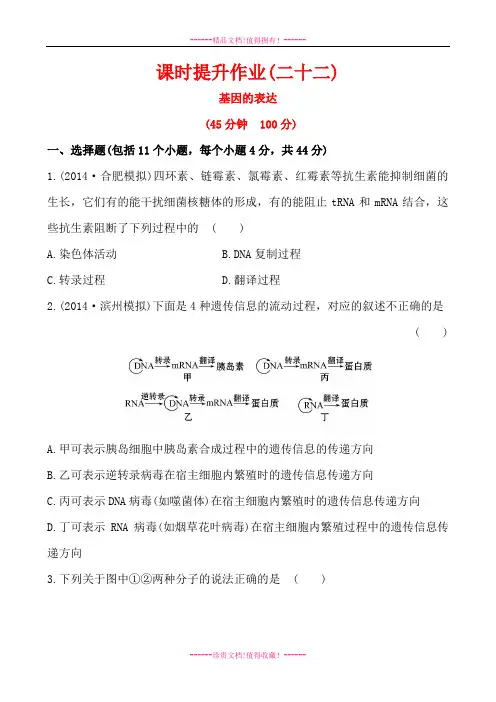 高考生物总复习课时作业：必修2 第4章 基因的表达