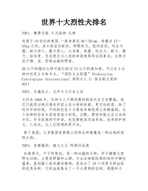 世界十大烈性犬排名
