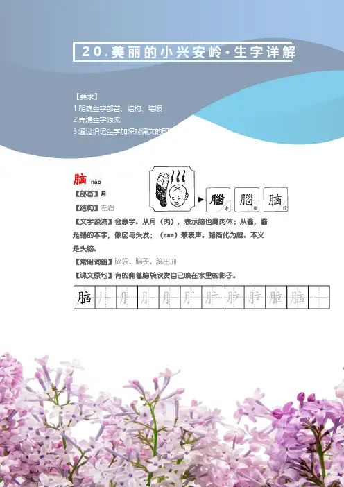 部编版三年级语文上册《美丽的小兴安岭》文字解读