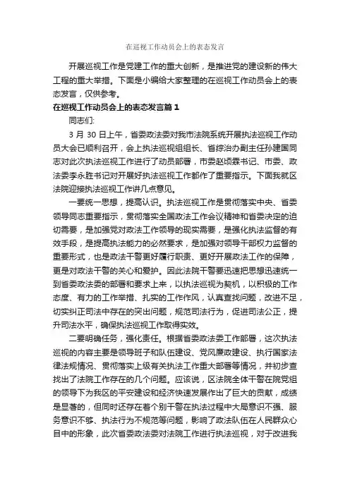 在巡视工作动员会上的表态发言_发言稿_