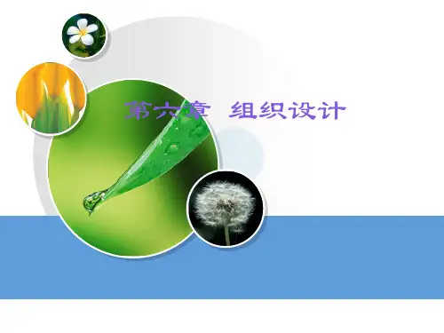 管理学-第6章  组织设计