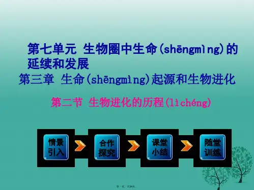 八年级生物下册第7单元第3章第2节生物进化的历程课件(新版)新人教版