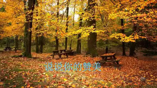最新人教部编版三年级上册语文《山行》精品课件