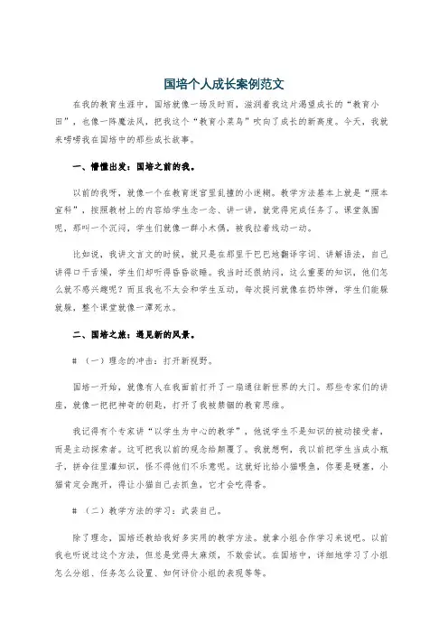 国培个人成长案例范文