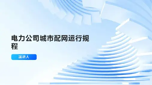 电力公司城市配网运行规程