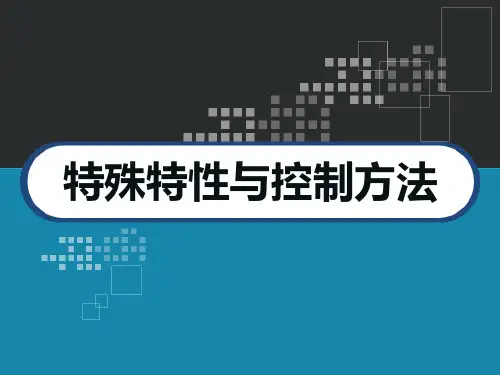 特殊特性识别与控制方法 PPT