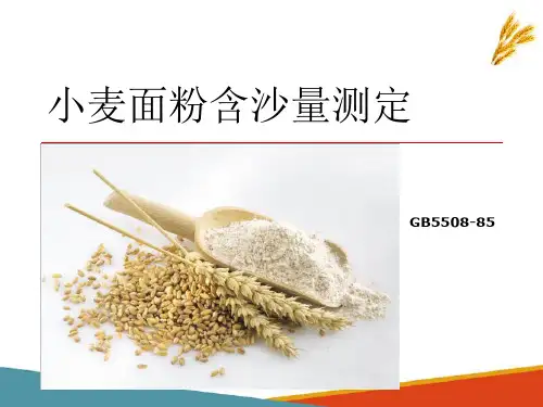 小麦面粉加工精度检验 小麦面粉含沙量测定