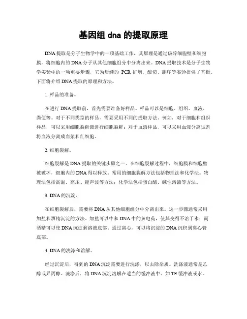 基因组dna的提取原理
