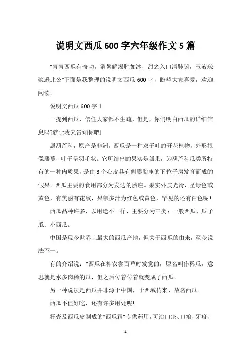 说明文西瓜600字六年级作文5篇