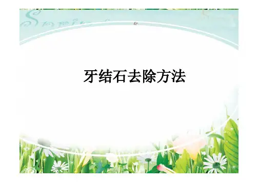 牙结石去除方法