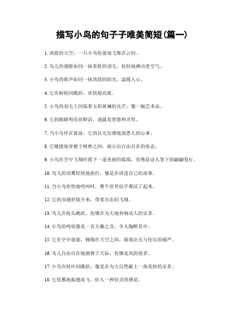 描写小鸟的句子子唯美简短(精选合集2篇)