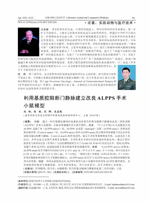 利用基质胶阻断门静脉建立改良ALPPS手术小鼠模型