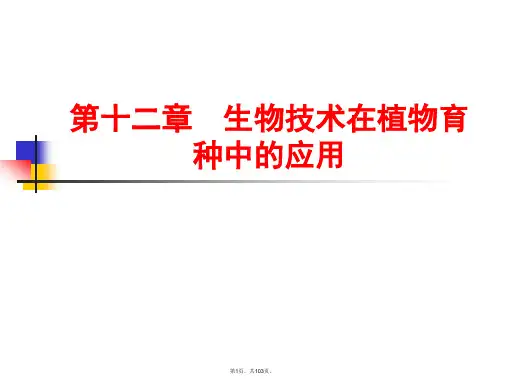 12.生物技术在植物育种中的应用