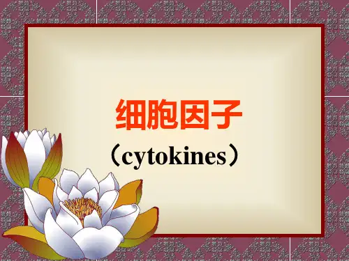 细胞因子