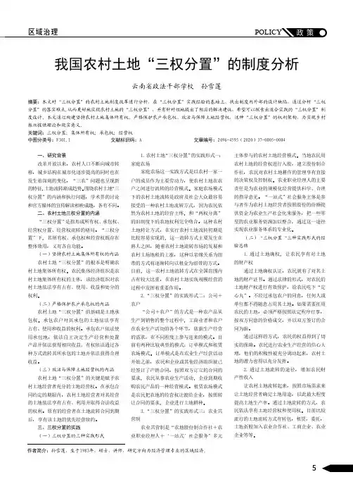 我国农村土地“三权分置”的制度分析