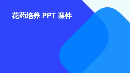 花药培养PPT课件