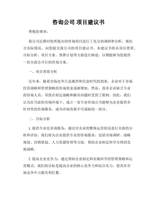咨询公司 项目建议书