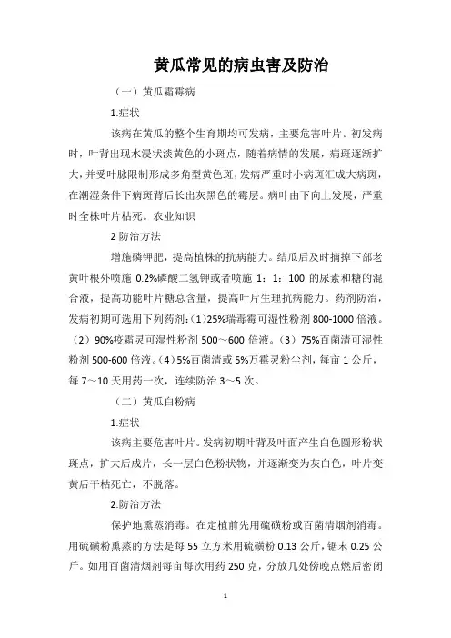 黄瓜常见的病虫害及防治